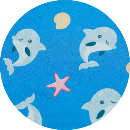 Delphi Dolphins