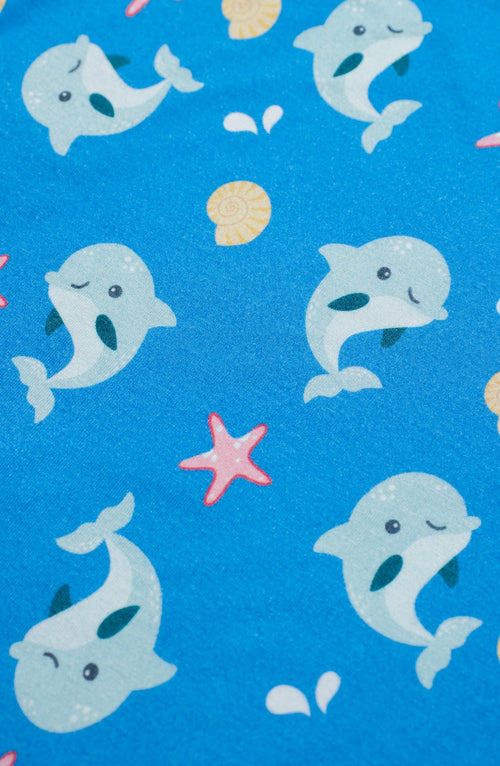 Delphi Dolphins